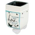 Dicksons Dicksons PW12LY If I Know What Love is Wax Plug in Warmer PW12LY